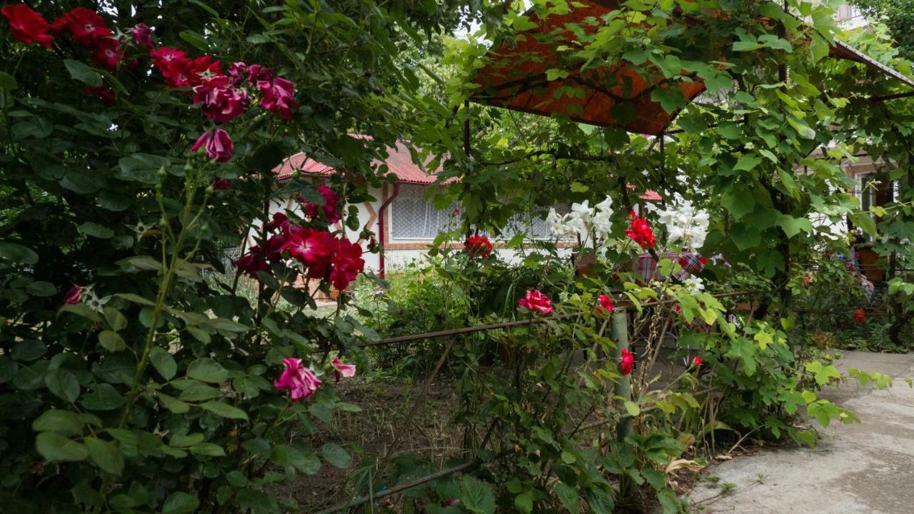 Casa Din Gradina Villa Eforie Sud  Exterior photo